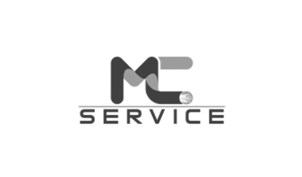 creazione logo pavia mcservice studio grafico